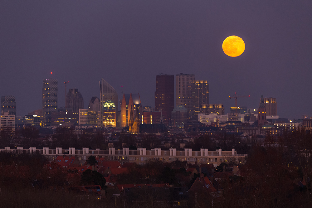 Ritual de Manifestación de Deseos con la Luna Nueva